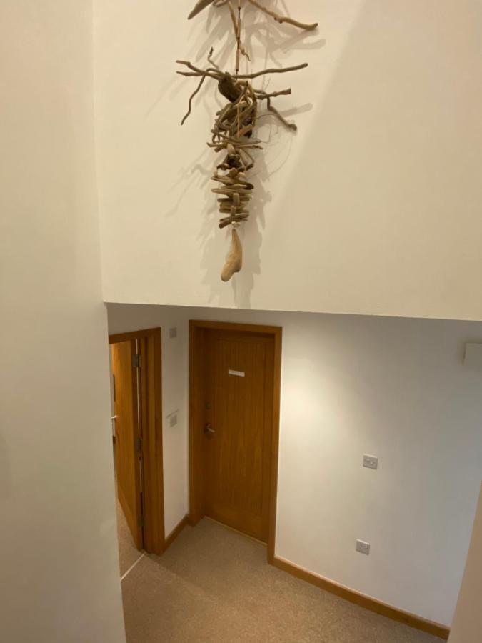 Ohana House - Unbeatable Location - Uk'S Best Beaches New Quay Esterno foto